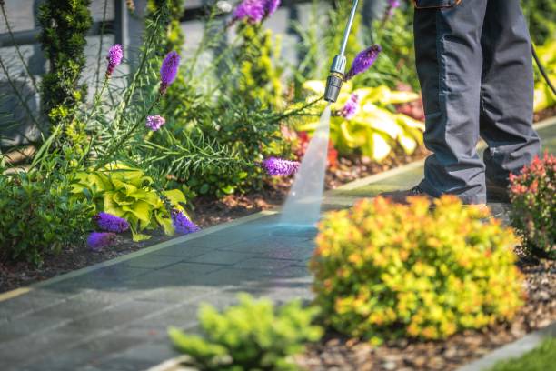 Best Sidewalk and Walkway Cleaning  in Washoe Valley, NV