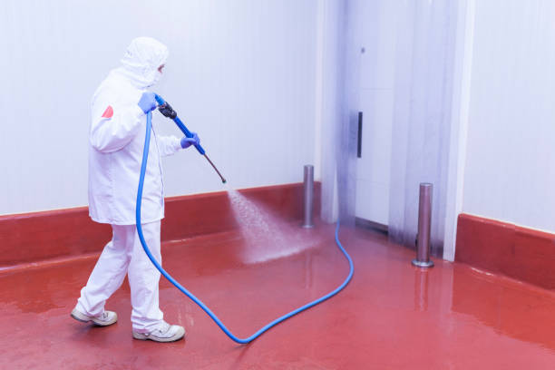 Best Restaurant Pressure Washing  in Washoe Valley, NV