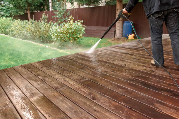 Best Spring Cleaning  in Washoe Valley, NV