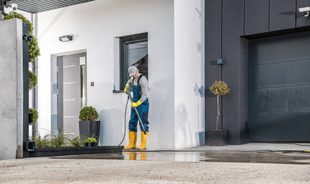 Best Rust Removal  in Washoe Valley, NV